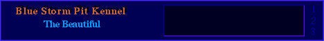 pitbannerpit.gif